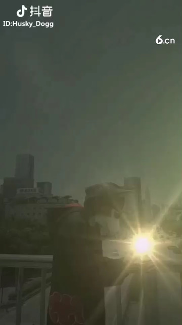 美好的爱情从告白开始520快乐
