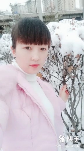殇雪