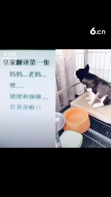 ..