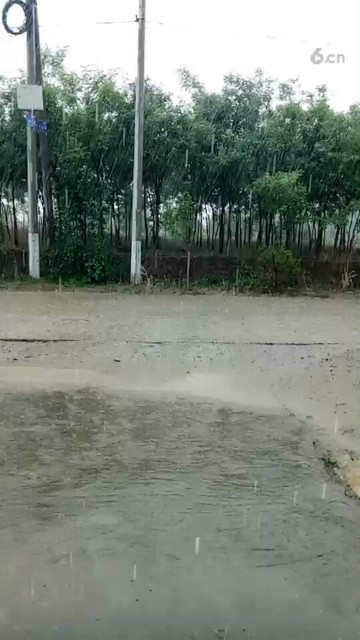 这雨下的真大