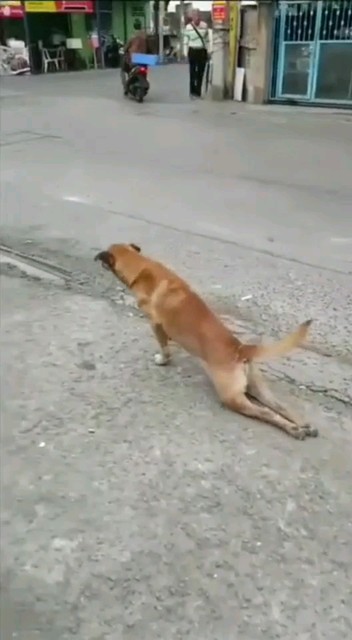 感觉给力的关注一下吧🙏🙏