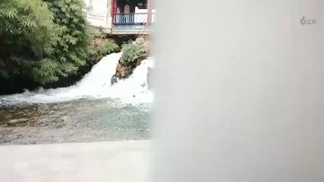 公园美景