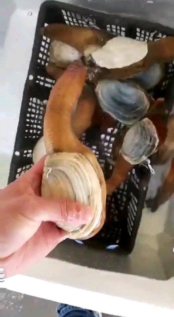 看看这想像啥呢😄😄😄😄