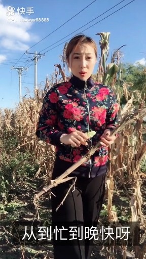 粉红色的回忆（改版
