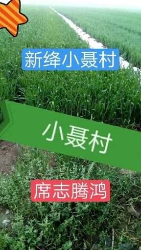 新绛🌴小聂村🌴美丽乡村