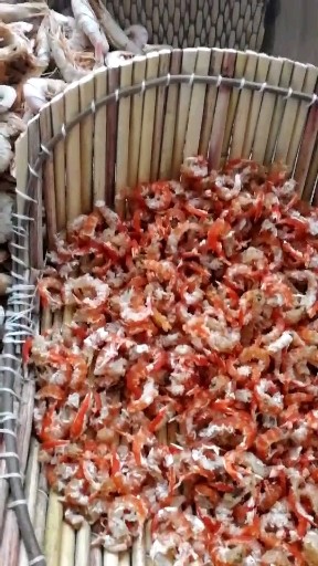秋天的金钩海米