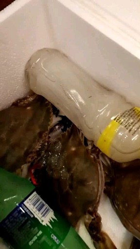 送货