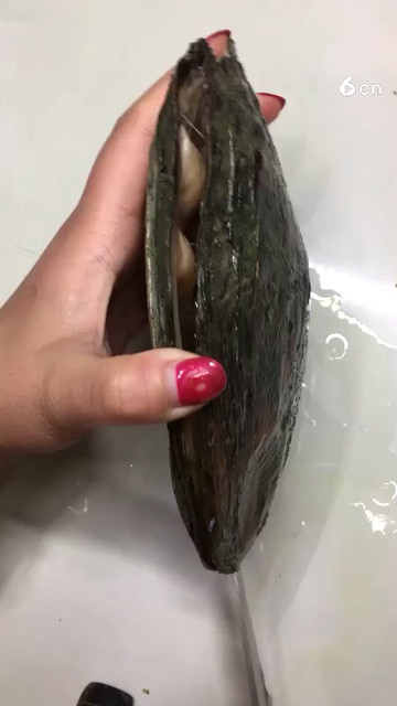 喜欢关注哦