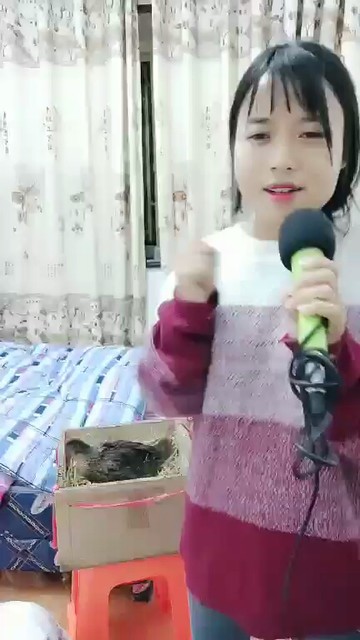 笑死我了，教主！哈哈哈哈