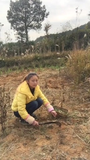 看我挖的是什么