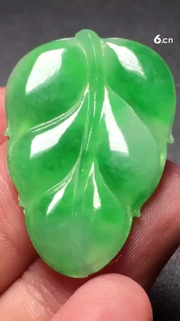 阳绿树叶，颜色阳绿，完美，30