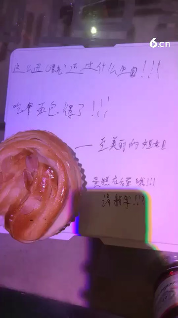 丑小鸭的生日