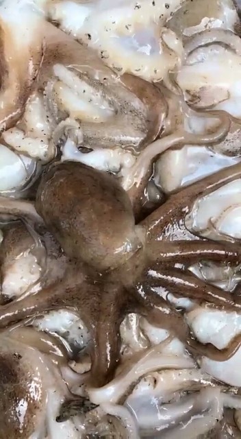 有没有需要的
