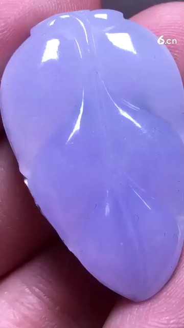 4500紫罗兰叶子，紫