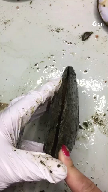 一颗大腰紫好看