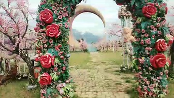 玫瑰花园