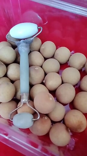 吃了这么多桂圆