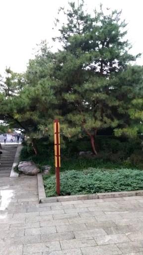 第八天