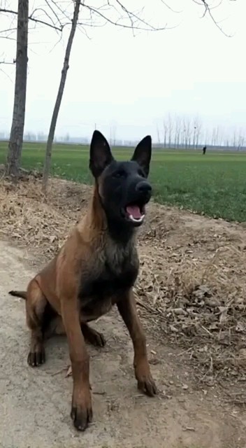 厉害😄