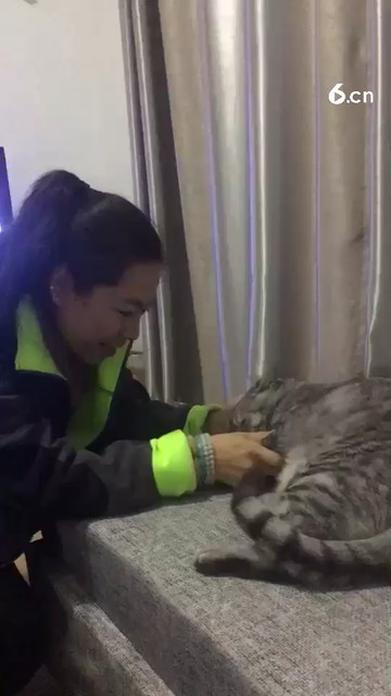 猫这么嫌弃我