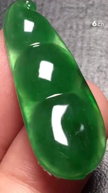 阳绿福豆，种老6500