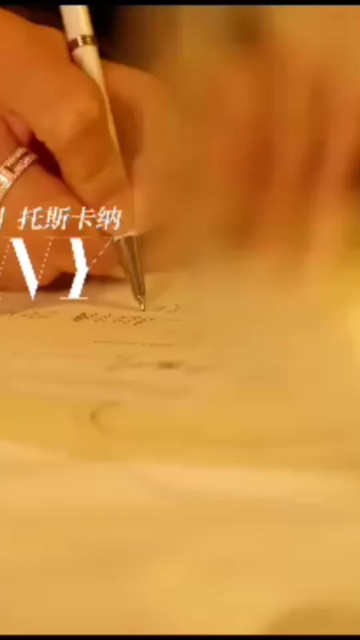 许魏洲中欧旅游年意大利