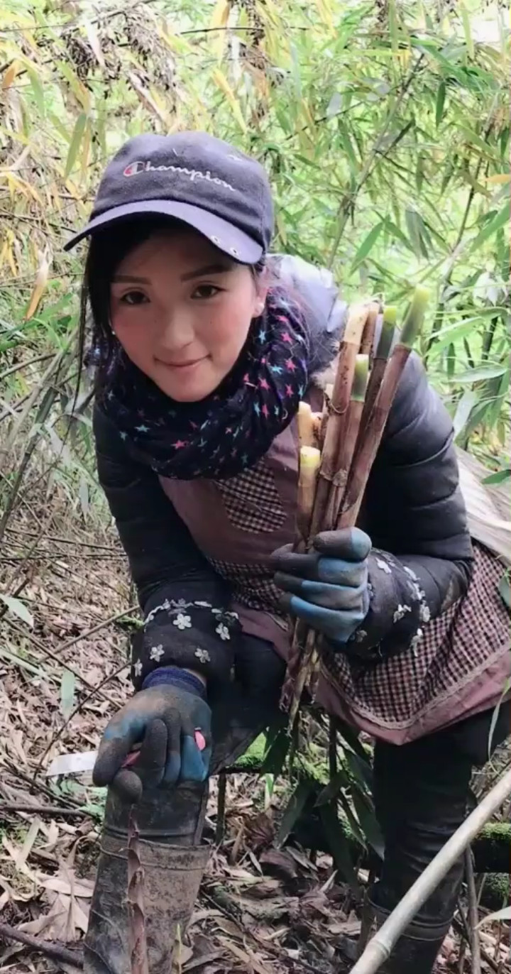 给你们好不好