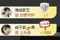海鸽晚上播主播照片