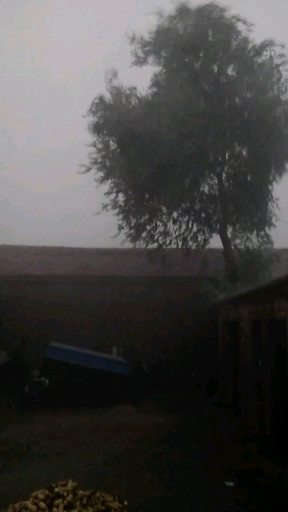 河北衡水下雨了，风也很大