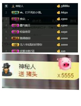 皮猴不播了主播照片