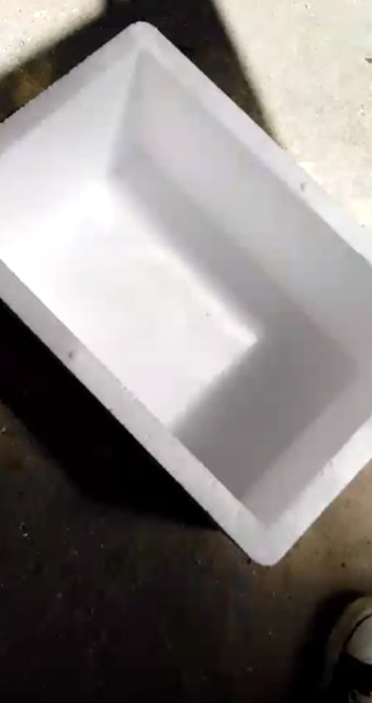 皮皮虾鲜活打包