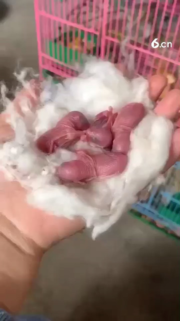 😉