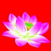 じ★ve゛壹段情℘