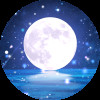 夜色撩人ღ孤独成瘾ღ海报