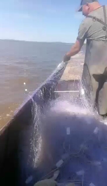 标题违规