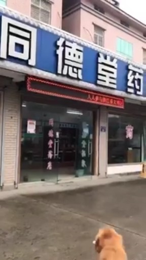 好帮手