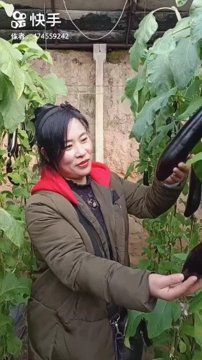 老妹你真美
