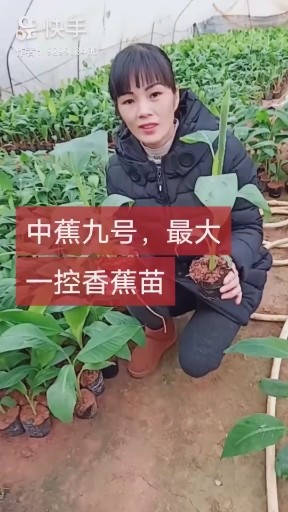 果园