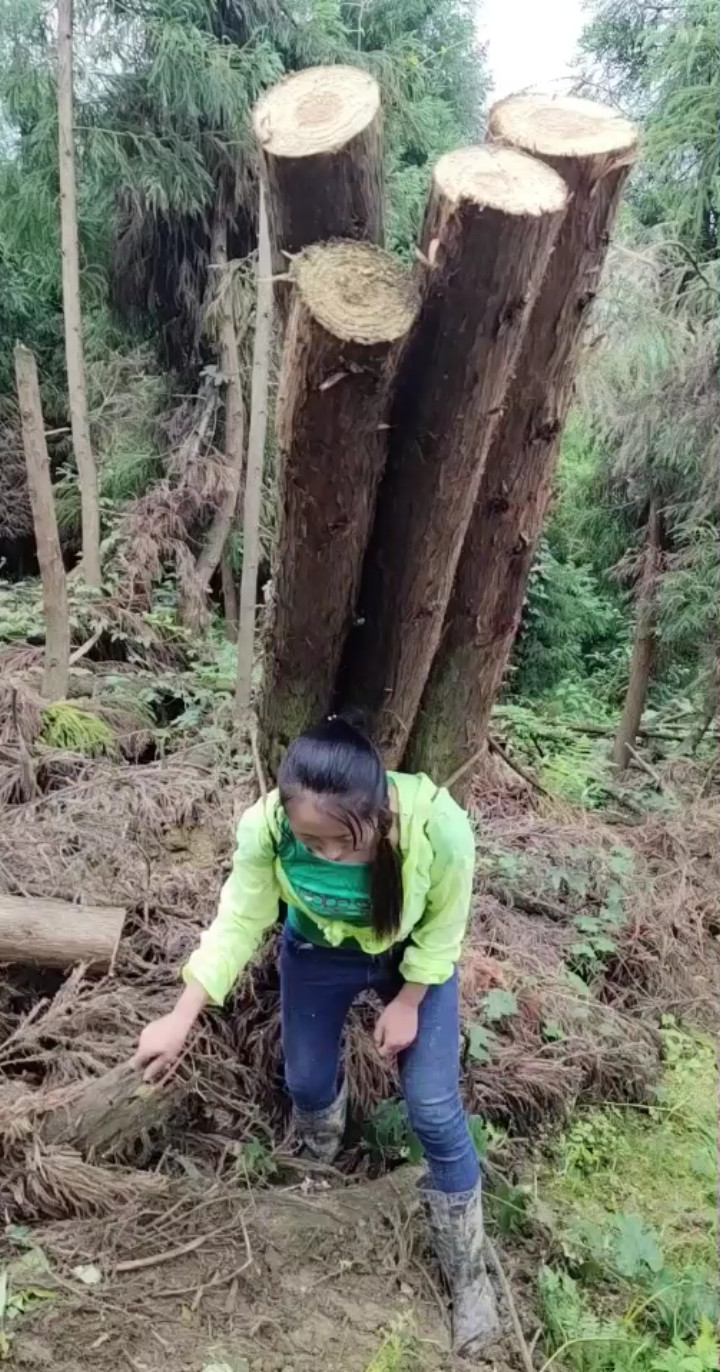 多年以后