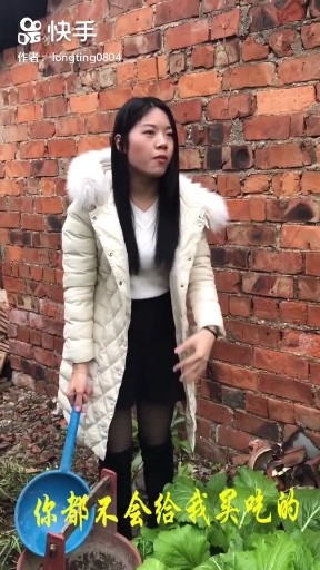 红尘情歌改版