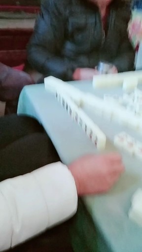 败家的娘们儿