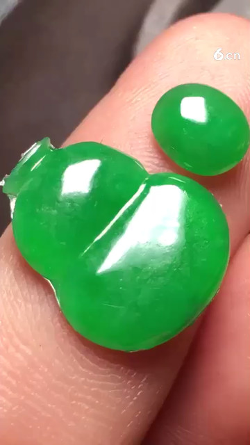 阳绿葫芦2，种5300