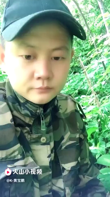 大王叫我来巡山啊