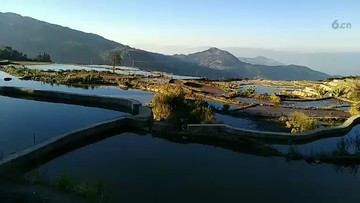 云南红河梯田