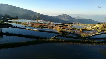 云南梯田