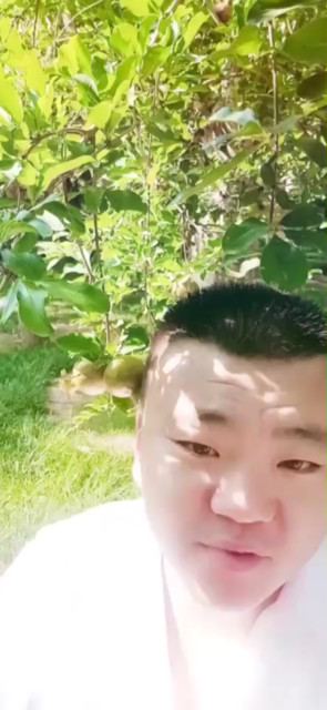 玫瑰花