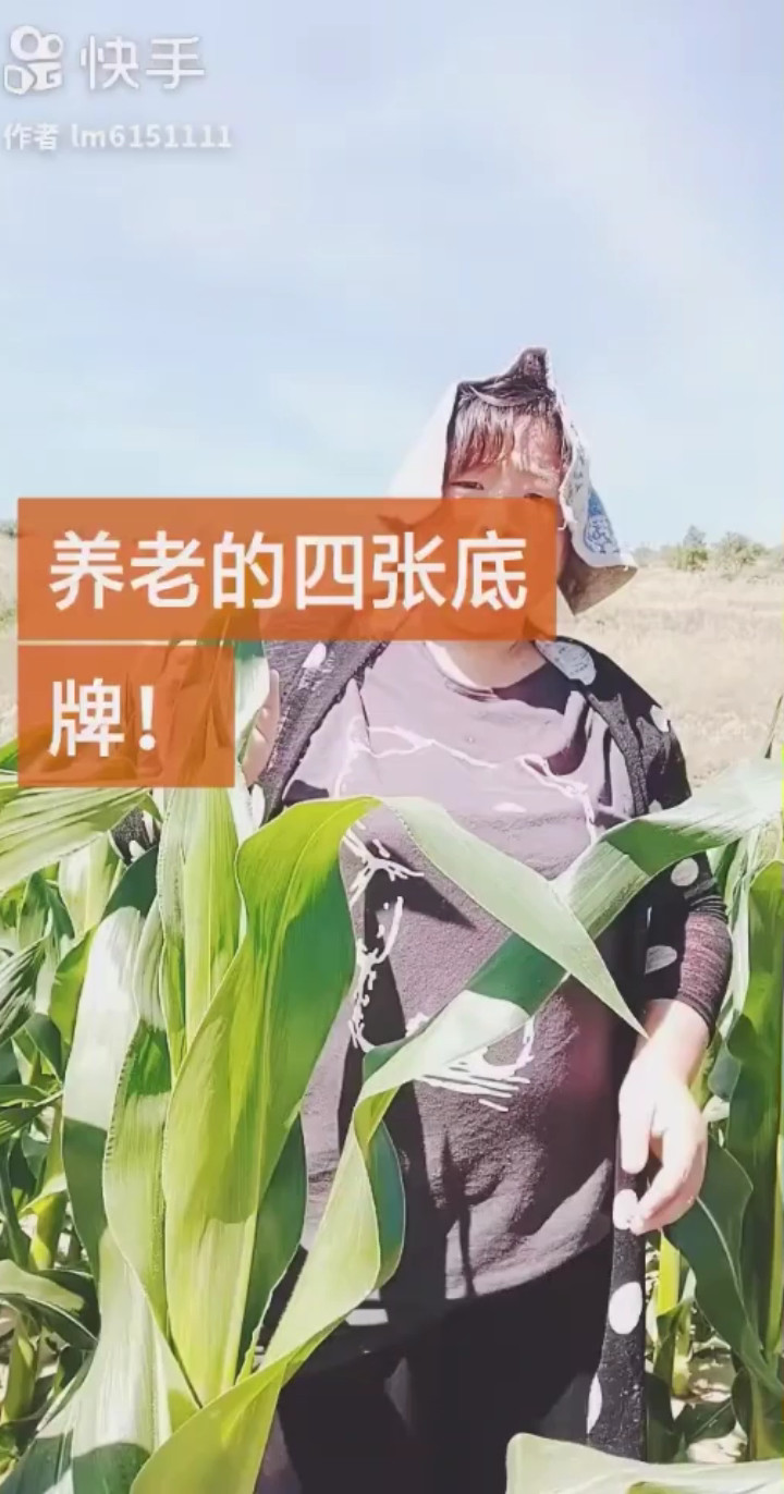 养老的四张底牌