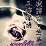 ㄣ新欢旧爱海报