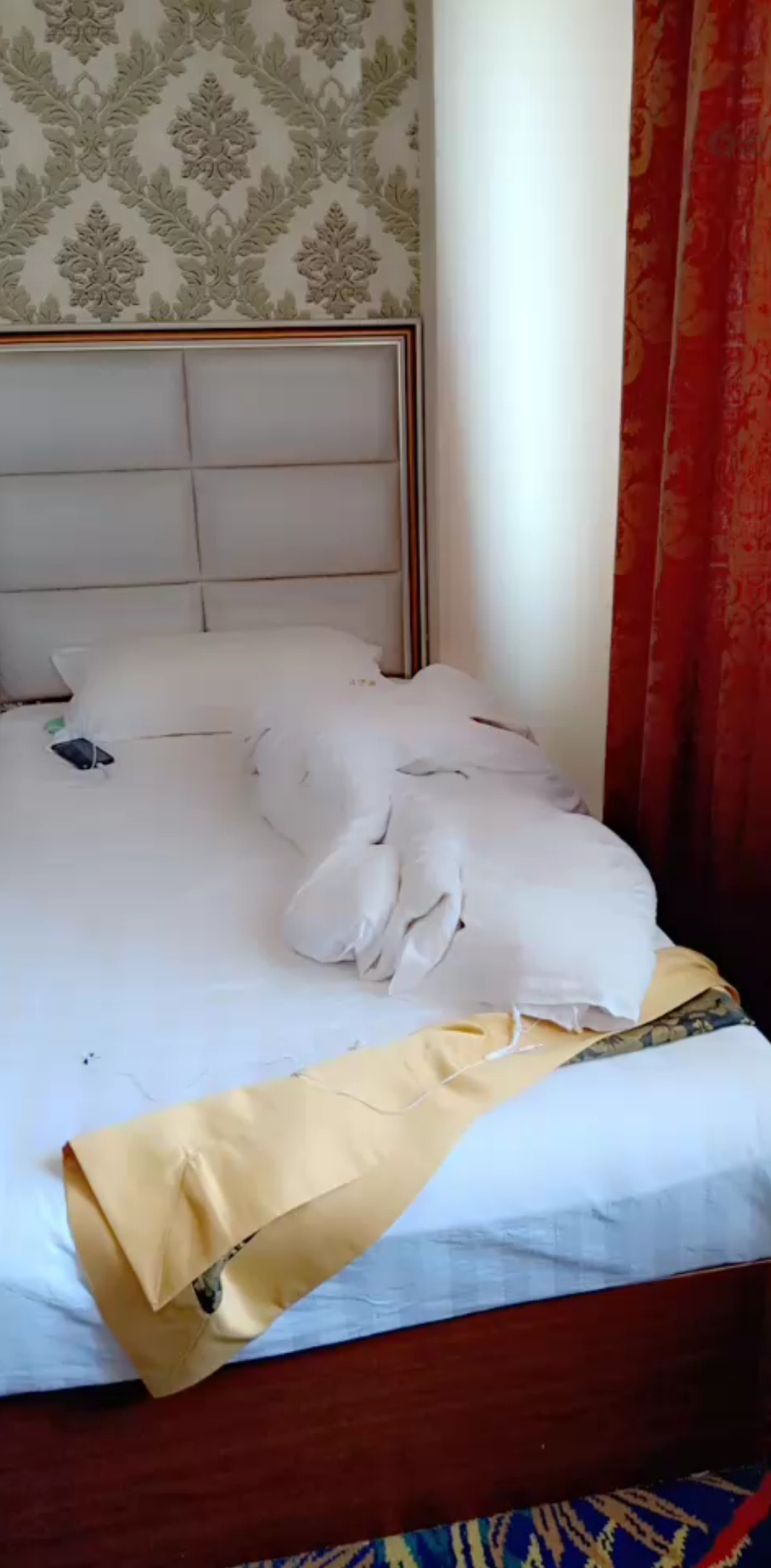住的便宜房间床上都是虫子😭