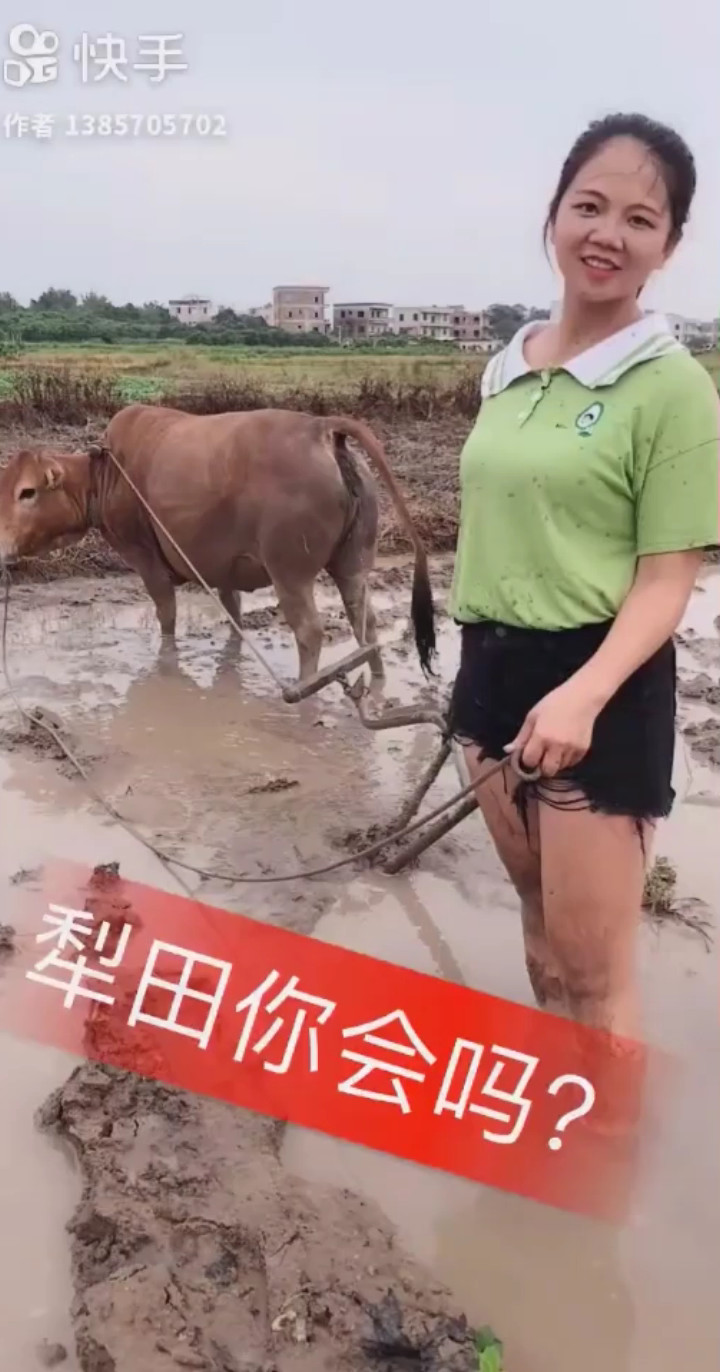公子向北走
